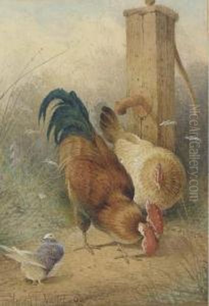 Hens In A Farmyard; And A Cockerel And Hen By A Water Pump(illustrated) Oil Painting by Frederick E. Valter