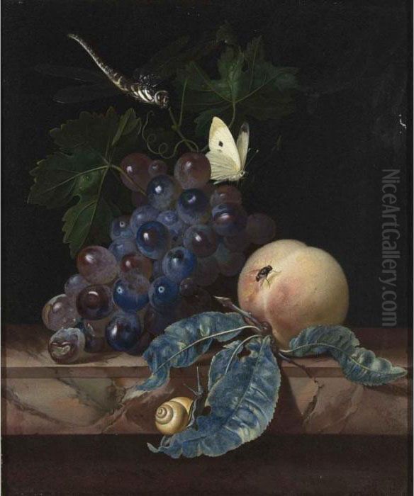 A Still Life With Grapes, A 
Peach, A Cabbage-white, A Dragon-fly, A Snail And A Fly, All On A Marble
 Ledge Oil Painting by Willem Van Aelst