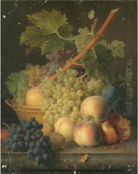 Still Life With Grapes And 
Peaches In A Basket, An Open Pomegranate, Plums, Black Grapes And More 
Peaches On The Marble Ledge Beneath Oil Painting by Jan Frans Van Dael
