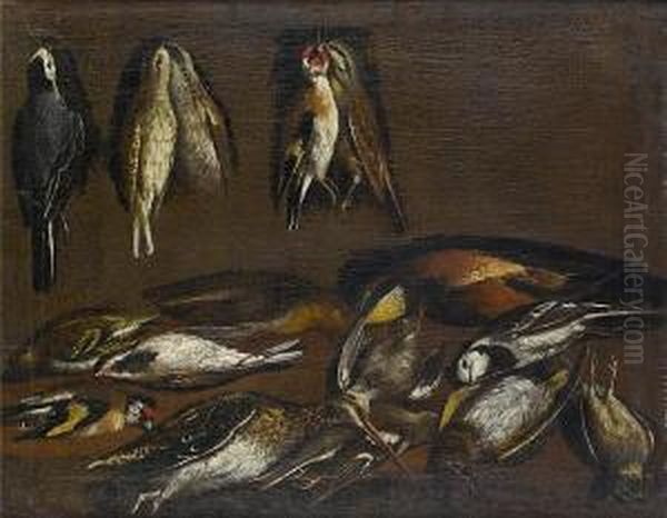 Dead Pied Wagtails, Goldfinches 
And Other Birds Hanging On A Wall With A Snipe And Other Birds On A 
Table-top Oil Painting by Jacob van der (Giacomo da Castello) Kerckhoven