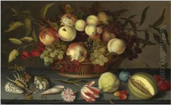 Still Life Of Peaches, Apples, 
Grapes, Cherries And Redcurrantsin A Basket, With Sea-shells, Insects, A
 Parrot Tulip, A Pink Roseand Further Fruit Scattered On The Stone Ledge
 Beneath Oil Painting by Balthasar Van Der Ast