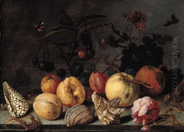 Fruit And Shells, With 
Butterflies, A Dragonfly, A Lizard, A Snail And A Fly On A Stone Ledge Oil Painting by Balthasar Van Der Ast