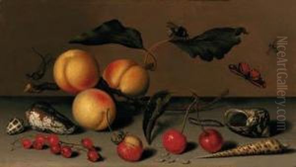 Apricots On A Stalk, Cherries, A
 Wild Strawberry, Redcurrants,shells, A Butterfly, A Bee, A Spider, A 
Fly, A Caterpillar And Adragonfly On A Ledge Oil Painting by Balthasar Van Der Ast