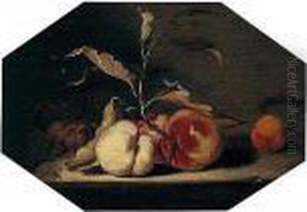 A Still Life Of Peaches, Plums And One Apricot Arranged Upon A Stone Ledge Oil Painting by Jacob Fransz van der Merck