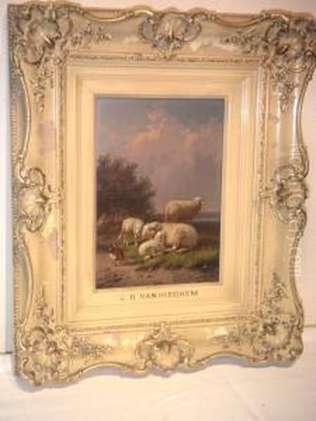 Moutons Au Pre Oil Painting by Joseph Van Dieghem