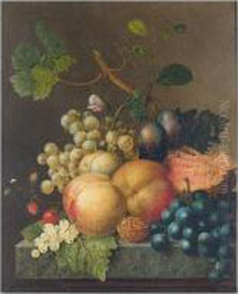 Still Life With Peaches, Plums, 
Strawberries, Grapes, A Walnut And A Melon On Stone Ledge Oil Painting by Willem van Leen
