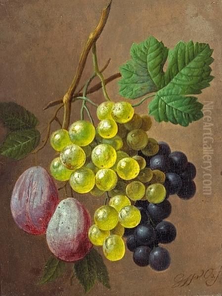 A Still Life With Grapes And Plums Oil Painting by Georgius Jacobus J. Van Os