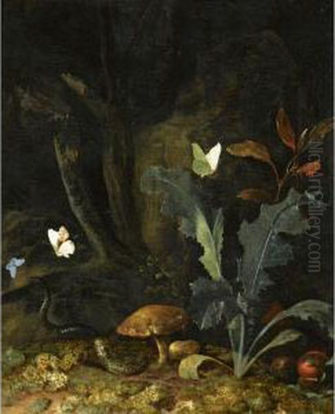 Nocturnal Forest Landscape With A
 Thistle, Chestnuts And Mushrooms, A Viper, Three Moths And A Dragon-fly Oil Painting by Otto Marseus Snuff. Van Schrieck