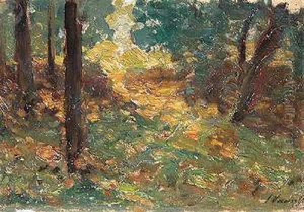 Bosque. Oil Painting by Joaquin Vancells Y Vieta