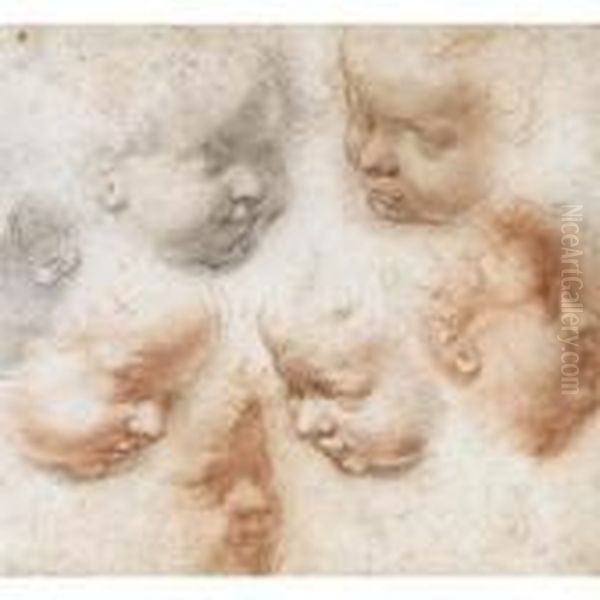 Sheet Of Seven Studies Of The Head Of A Young Child Oil Painting by Francesco Vanni