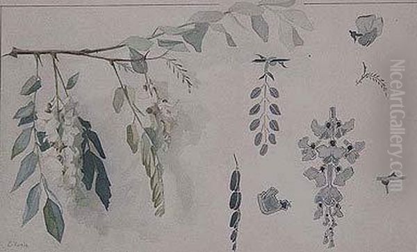 Glicinias Oil Painting by Eulogio Varela Y Sartorio