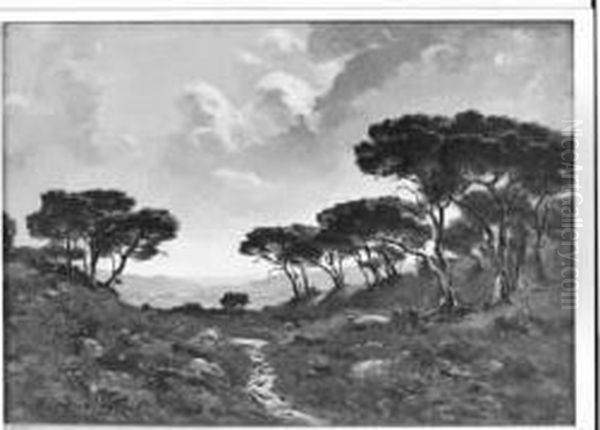 
 Chemin Dans La Pinede  Oil Painting by Raymond Jean Verdun