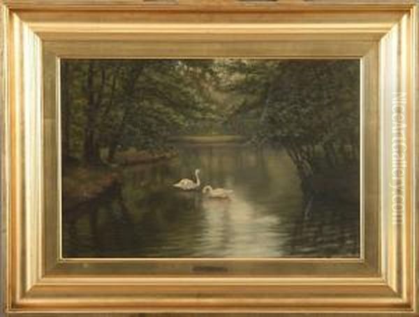 A Forest Lake With A Couple Of Swans Oil Painting by Sophus Vermehren
