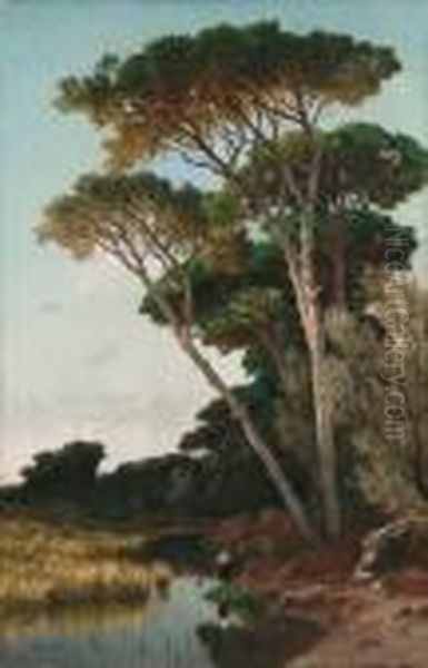 Pineta Oil Painting by Achille Vertunni
