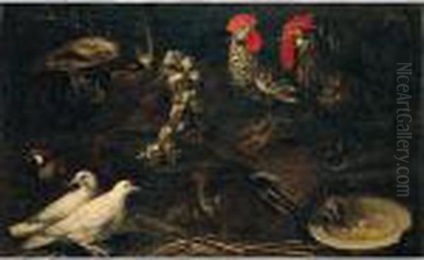 Still Life Of Cockerels, White 
Doves, A Jay, Grey And Red-legged Partridge And A Cat, Together With A 
Wicker Basket Of Garlic Oil Painting by Jacomo (or Victor, Jacobus) Victors