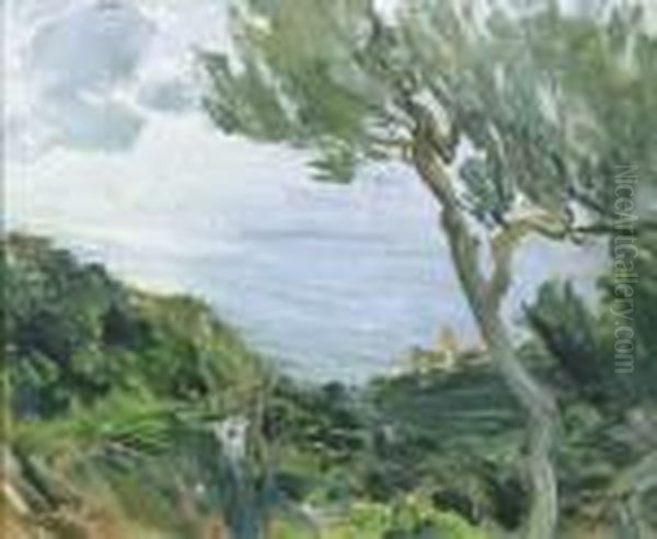 Scorcio Costiero Oil Painting by Eugenio Viti