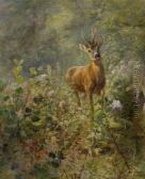 Rehbock Auf Der
 Waldlichtung. Oil Painting by Carl Ritter Von Dombrowski