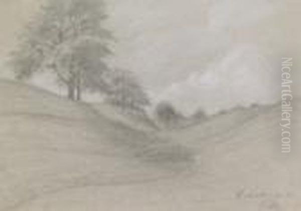 Baumbestandene Landschaft. 
Bleistiftzeichnung, Weis Gehoht, Auf Graublauem Butten. 19,8 X 27,8 Cm. 
Signiert Und Bezeichnet: Wachwitzergrund. - Beigegeben: Eine Weitere 
Landschaftszeichnung Des Kunstlers. Oil Painting by Constantin Von Mitschke Collande