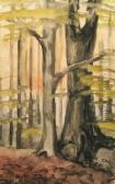 Waldlandschaft Oil Painting by Constantin Von Mitschke Collande