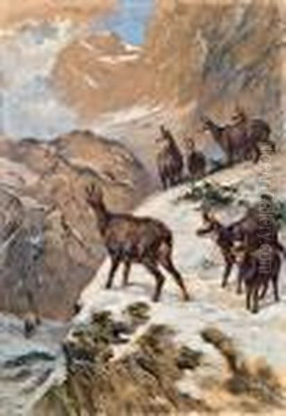 Gemsen Im Gebirge Oil Painting by Franz Xavier Von Pausinger