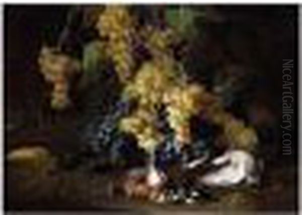 Still Life Of Red And White 
Grapes, Together With A Hoopoe, A Pigeon, A Finch, A Sparrow And A Hawk Oil Painting by Frans Werner Von Tamm