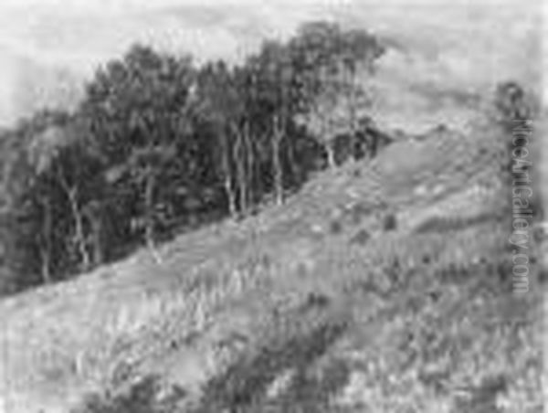 Wiese Am Waldrand. Signiert Und 
Datiert Unten Rechts: Hr V. Volkmann/vii 1914. Ol Auf Leinwand. H 36; B 
47,5 Cm. Oil Painting by Hans Richard Von Volkmann