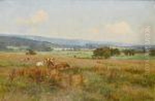Cattle In A Meadow Oil Painting by Edward Wilkins Waite