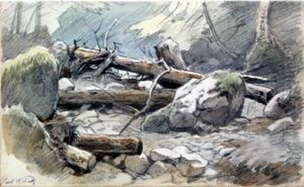 Felsenstudie Mit Zerborstenen Baumstammen Oil Painting by Paul Weber