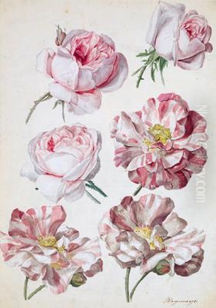 Studio Di Rose Oil Painting by Sebastian Wegmayr