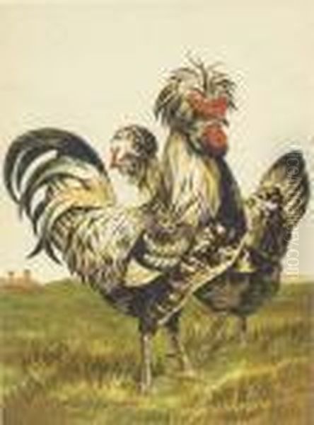 Comprising The Breeding And Management Of Profitable And Ornamentalpoultry Oil Painting by Harrison William Weir