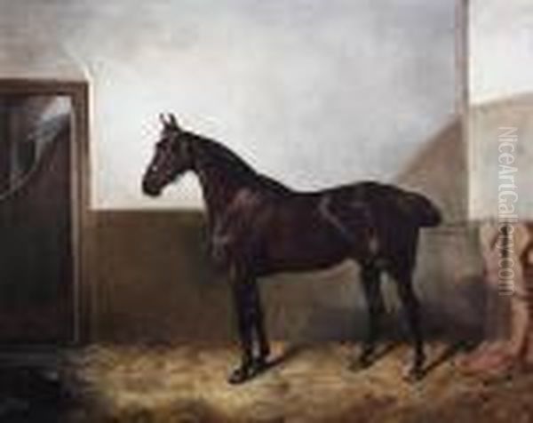Dark Bay Hunter In A Stable Oil Painting by John Alfred Wheeler