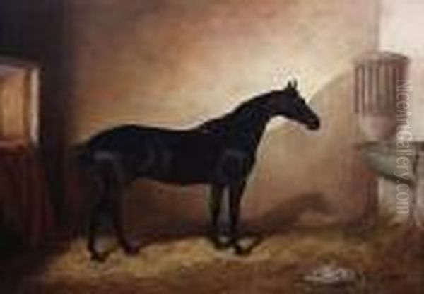 Dark Bay Hunter In A Stable Oil Painting by John Alfred Wheeler