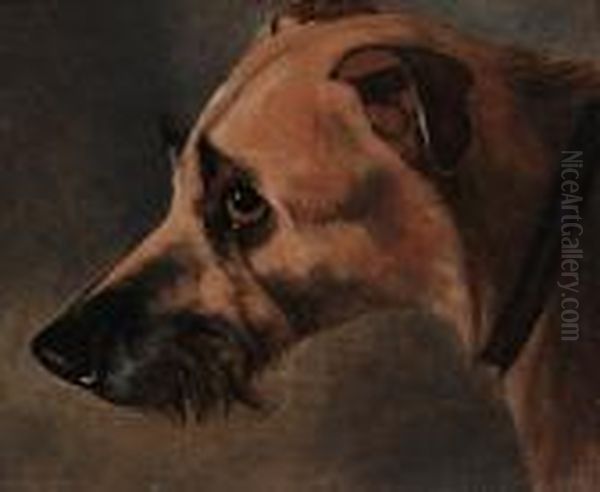 Study Of A Hound's Head Oil Painting by John Alfred Wheeler