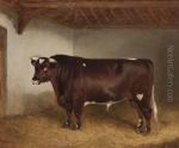 Lord Somerset Iii, A Short Horn Bull In A Stable Interior Oil Painting by John Alfred Wheeler