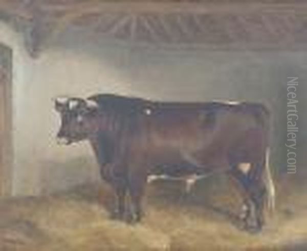 Lord Somerset 3rd - A Bull Oil Painting by John Alfred Wheeler