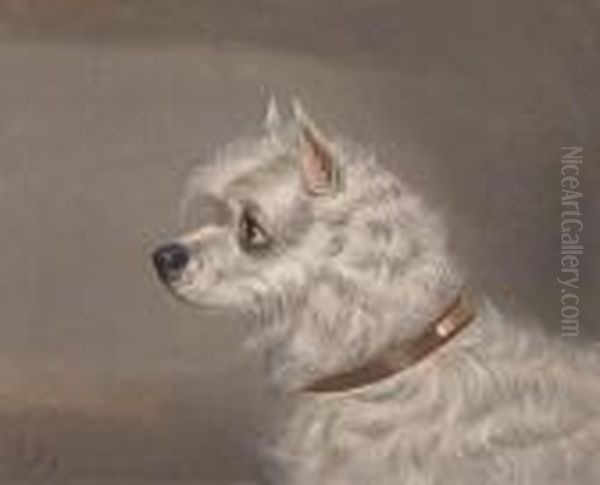 A Skye Terrier Oil Painting by John Alfred Wheeler