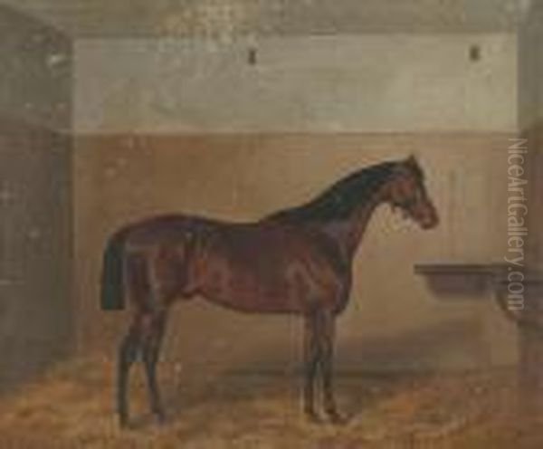 ''the Doctor' - A Bay Horse In A Loose Box' Oil Painting by John Alfred Wheeler