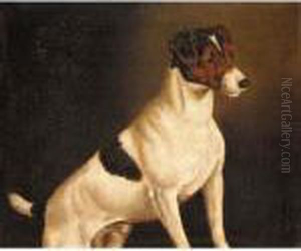 A Jack Russell Oil Painting by John Alfred Wheeler