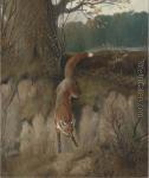 The Hunted Fox Oil Painting by John Alfred Wheeler