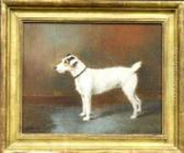 A Jack Russell Terrier Oil Painting by John Alfred Wheeler