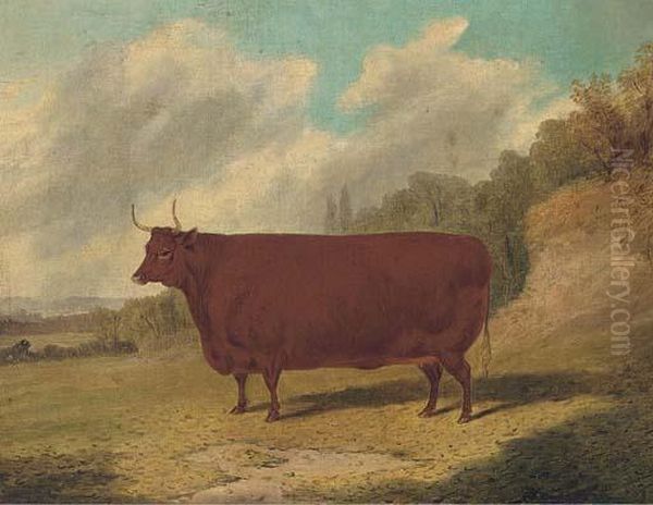 A Prize Cow In An Extensive Landscape Oil Painting by Richard Whitford
