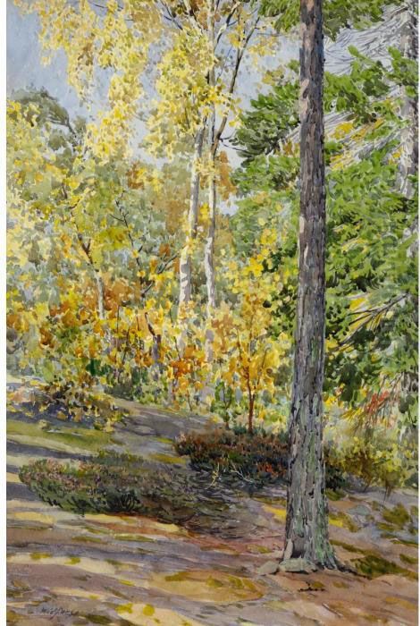 Forest Landscape Oil Painting by Gunnar Mauritz Widforss