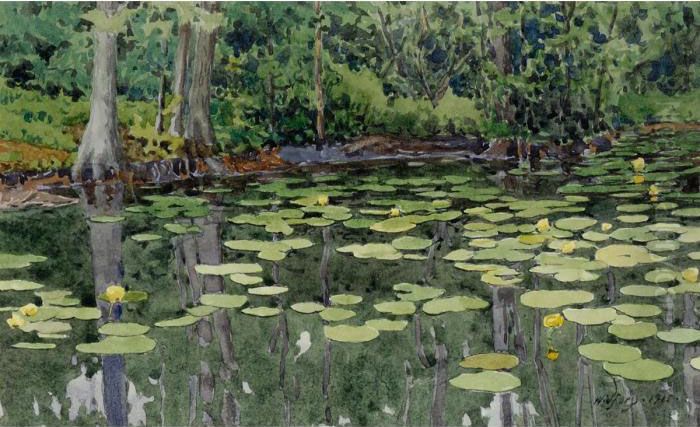 Lily Pads Oil Painting by Gunnar Mauritz Widforss