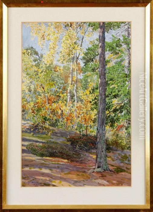 Skogslandskap Oil Painting by Gunnar Mauritz Widforss