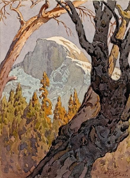 A View Of Half Dome Oil Painting by Gunnar Mauritz Widforss