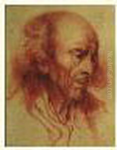 Sanguine Porte Une Signature 
Apocryphe En Bas A Droite Cachet De Collection : Fabre En Bas A Gauche 
Et Collection Du Prince Argustensky En Bas A Droite. Oil Painting by Pierre-Alexandre Wille