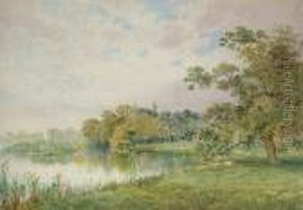 Sheep Grazing By A Lake Oil Painting by Arthur Willett