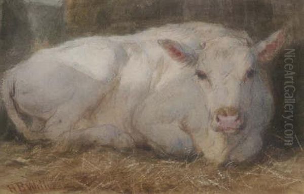 'study-white Calf' Signed 3.5 X 5.5in Oil Painting by Henry Brittan Willis, R.W.S.