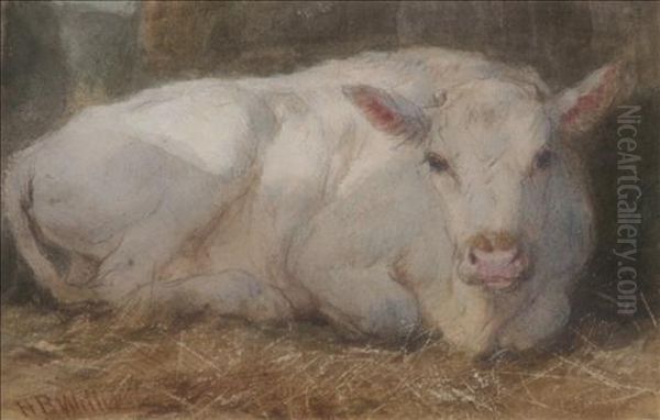 Study-white Calf Oil Painting by Henry Brittan Willis, R.W.S.