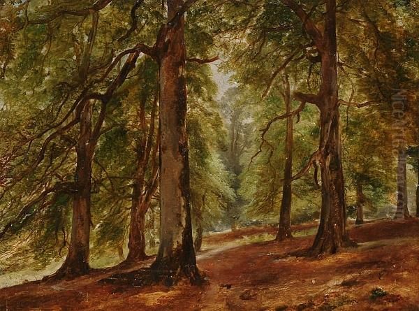 The Beeches, Forest Of Dean, Near Newnham On The Severn Oil Painting by Henry Brittan Willis, R.W.S.